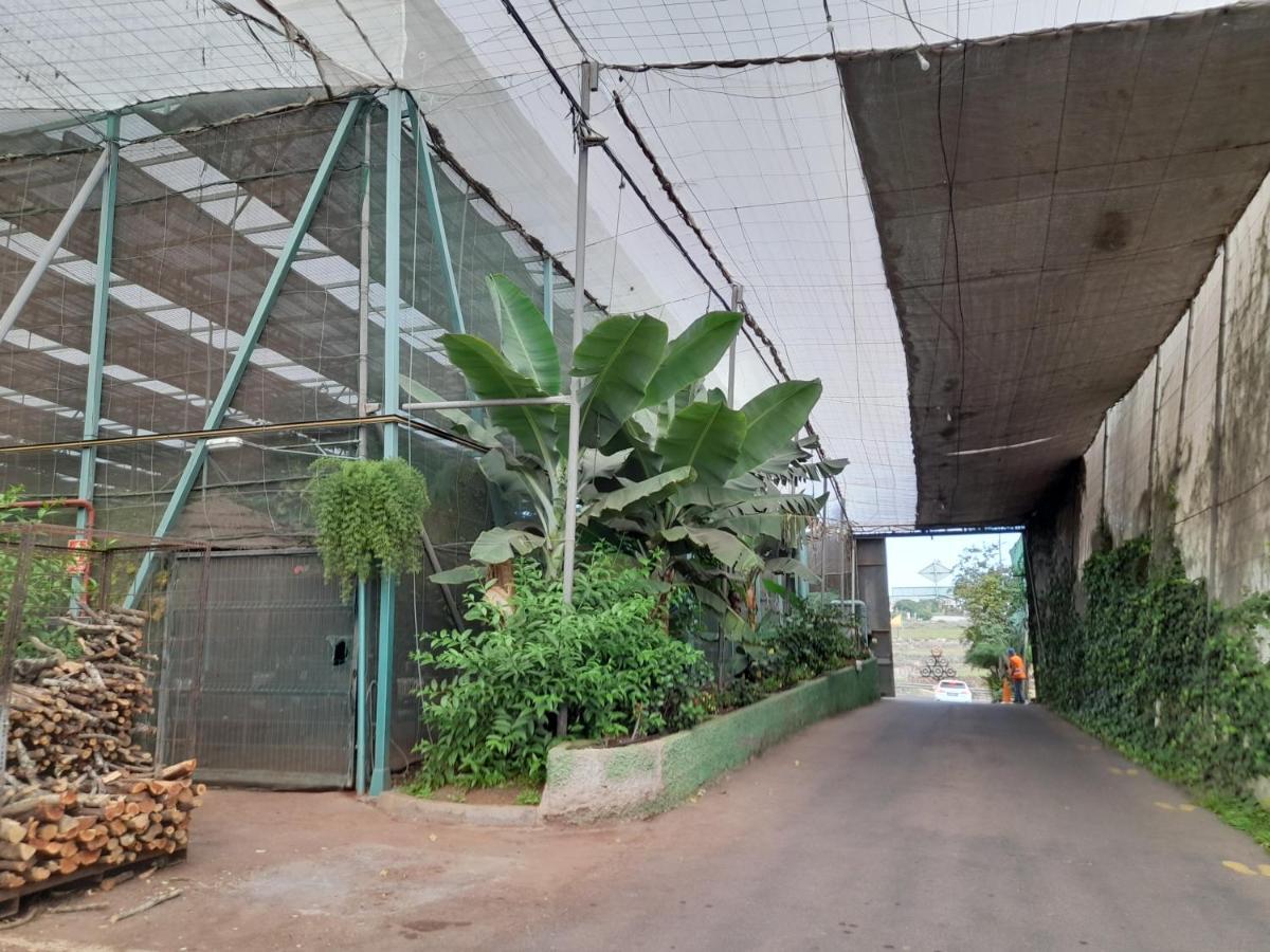 Guargacho Homestay San Miguel de Abona Exterior foto