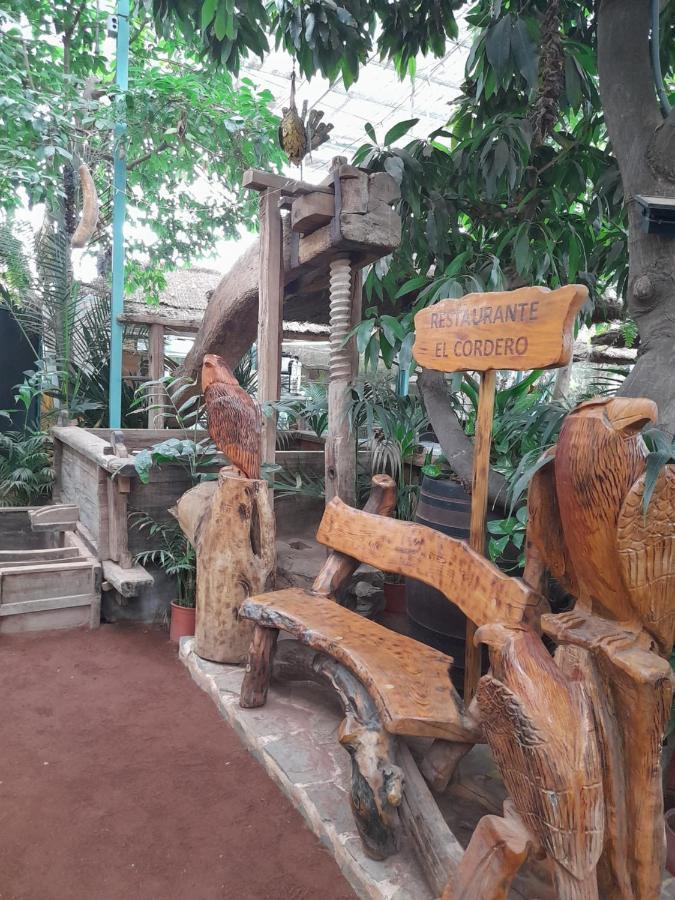 Guargacho Homestay San Miguel de Abona Exterior foto